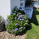 Apartament Reetdach Friesenhof Suederende