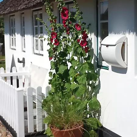 Reetdach Friesenhof Suederende Appartement Westerland