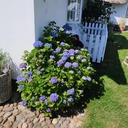 Appartement Reetdach Friesenhof Suederende