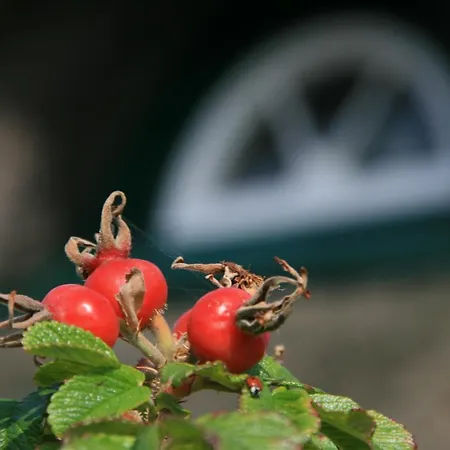 Reetdach Friesenhof Suederende アパート ヴェスターラント